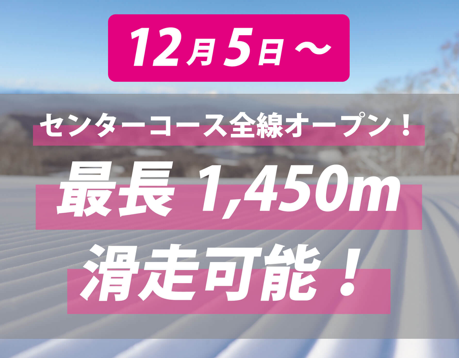 ⭐︎ニセコ東急グラン•ヒラフ、ハンターマウンテン塩原 リフト割引券1